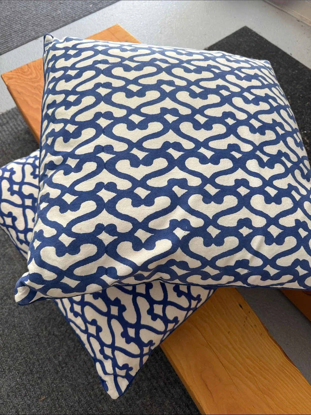 Roller Rabbit Euro Pillows